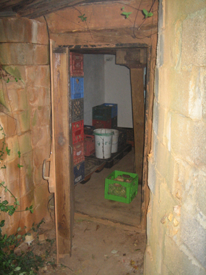 Root Cellar